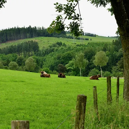 Holiday home Cozy With Wifi In Hochsauerland *
