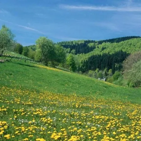 度假居 Cozy With Wifi In Hochsauerland