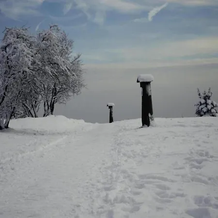 度假居 Cozy With Wifi In Hochsauerland Elpe