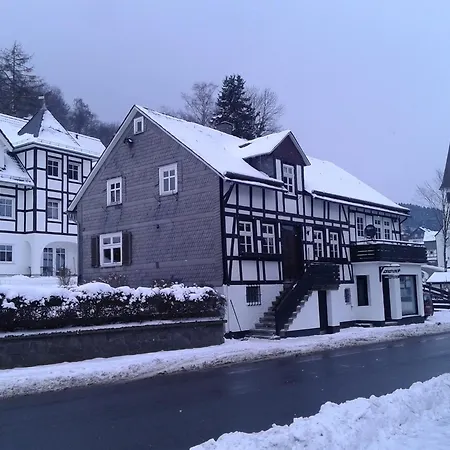 Prázdninový dům Grosszuegige In Olsberg-elpe Elpe