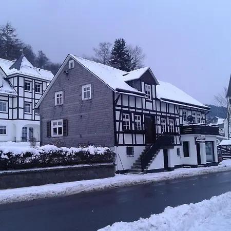 Holiday home Cozy With Wifi In Hochsauerland Elpe