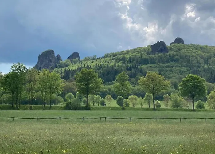 度假居 Grosszuegige In Olsberg-elpe *