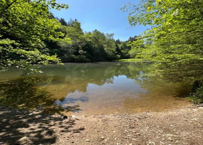 度假居 Grosszuegige In Olsberg-elpe *