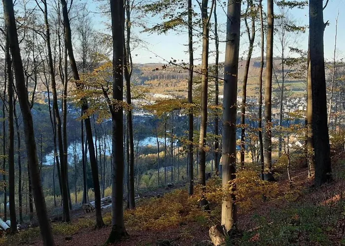 Grosszuegige In Olsberg-elpe