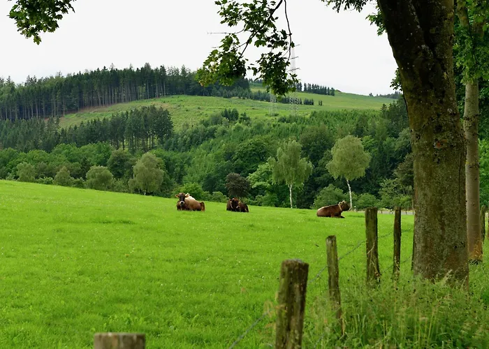 度假居 Grosszuegige In Olsberg-elpe Elpe
